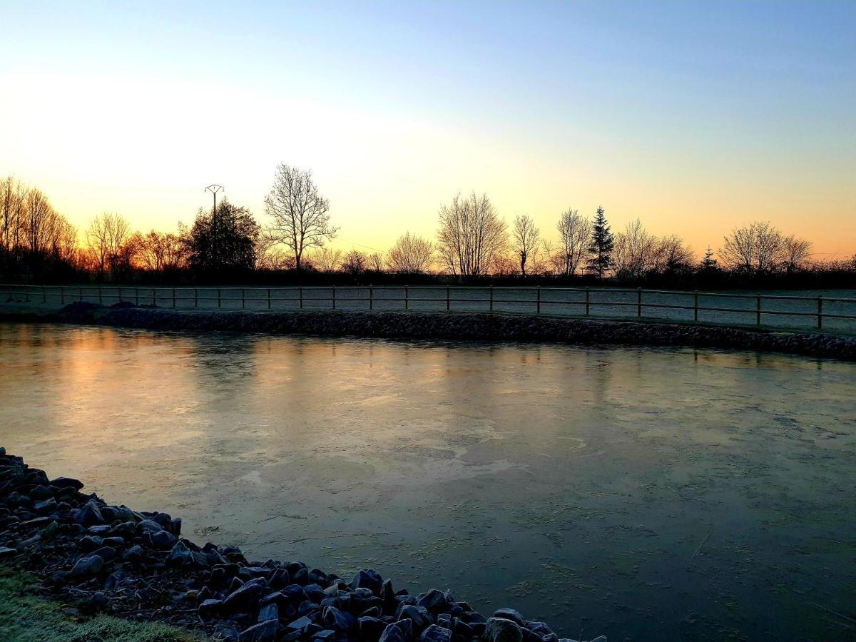 Gite Domaine De La Galopade Étréaupont Zewnętrze zdjęcie